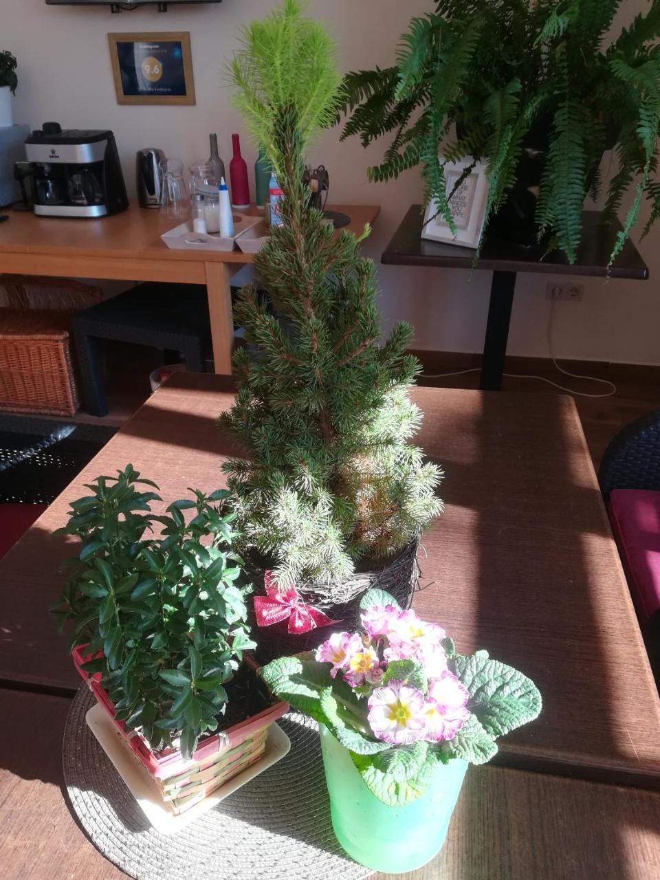 Szilvásvárad Shubu Zen Vendeghaz酒店 外观 照片